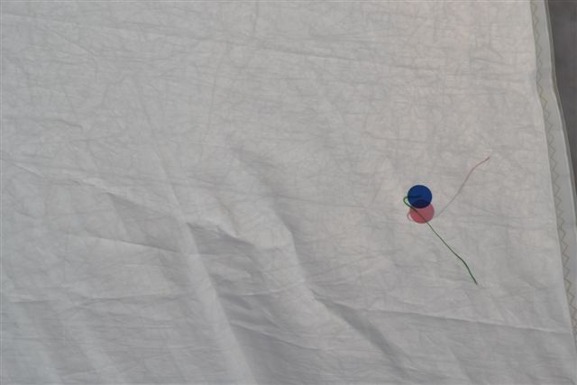 [Immagine: 2011290315_inferitura genoa.JPG]